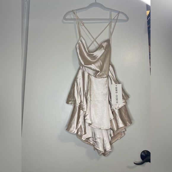 NWT Saints + Secrets Champagne Satin Dress AU 10 US M - Picture 4 of 8